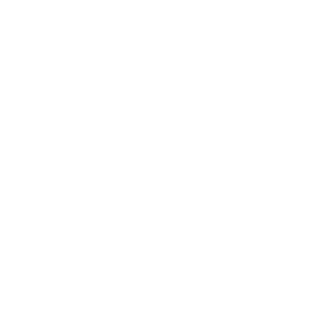 Whisk Icon